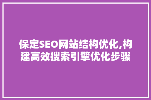 保定SEO网站结构优化,构建高效搜索引擎优化步骤