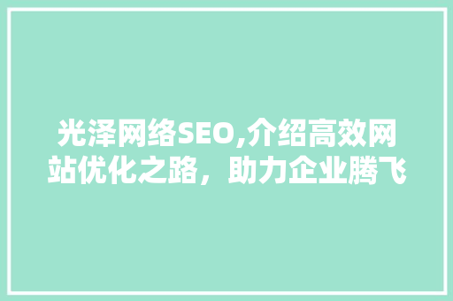 光泽网络SEO,介绍高效网站优化之路，助力企业腾飞