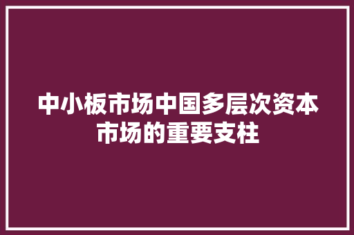 中小板市场中国多层次资本市场的重要支柱