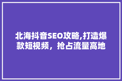 北海抖音SEO攻略,打造爆款短视频，抢占流量高地