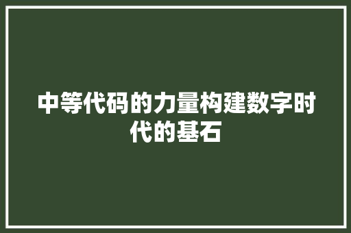 中等代码的力量构建数字时代的基石