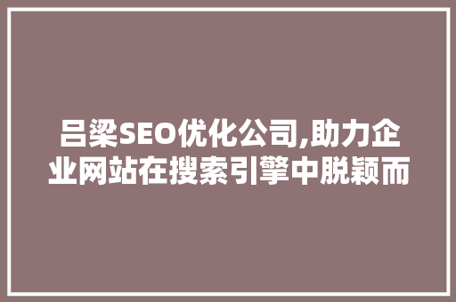 吕梁SEO优化公司,助力企业网站在搜索引擎中脱颖而出