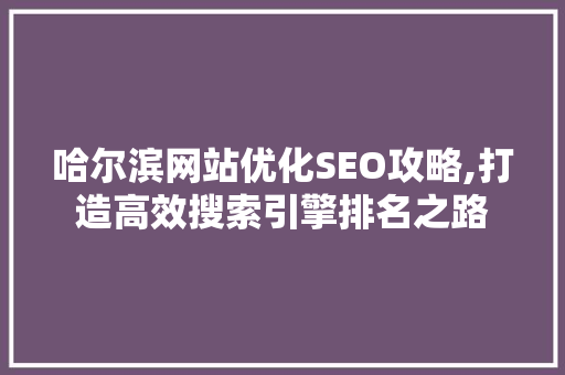 哈尔滨网站优化SEO攻略,打造高效搜索引擎排名之路  第1张