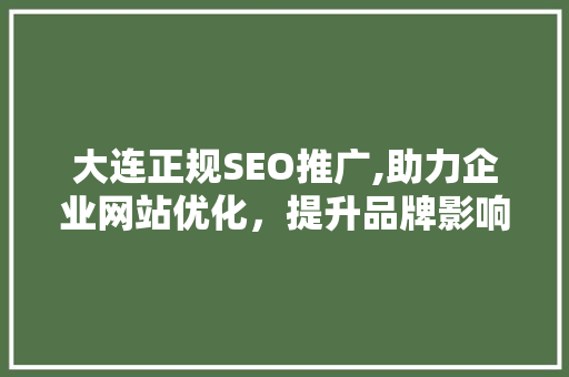 大连正规SEO推广,助力企业网站优化，提升品牌影响力