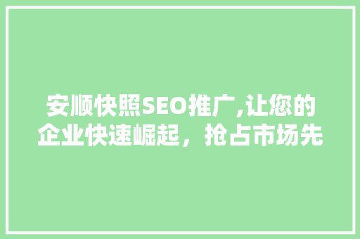 安顺快照SEO推广,让您的企业快速崛起，抢占市场先机