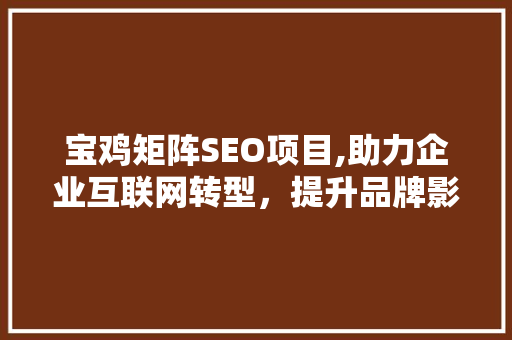 宝鸡矩阵SEO项目,助力企业互联网转型，提升品牌影响力
