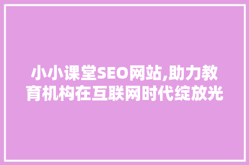 小小课堂SEO网站,助力教育机构在互联网时代绽放光彩