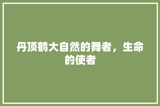 丹顶鹤大自然的舞者，生命的使者