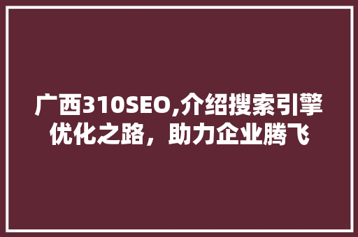 广西310SEO,介绍搜索引擎优化之路，助力企业腾飞