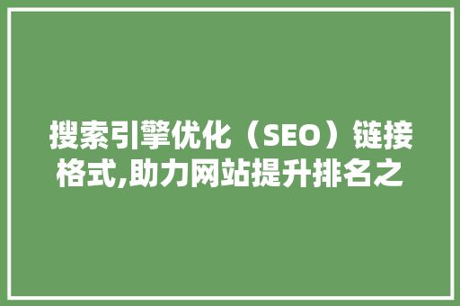 搜索引擎优化（SEO）链接格式,助力网站提升排名之路