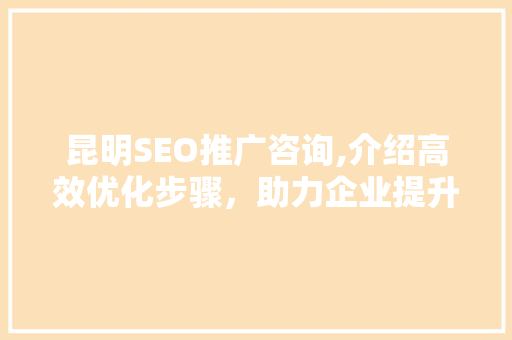 昆明SEO推广咨询,介绍高效优化步骤，助力企业提升网络竞争力