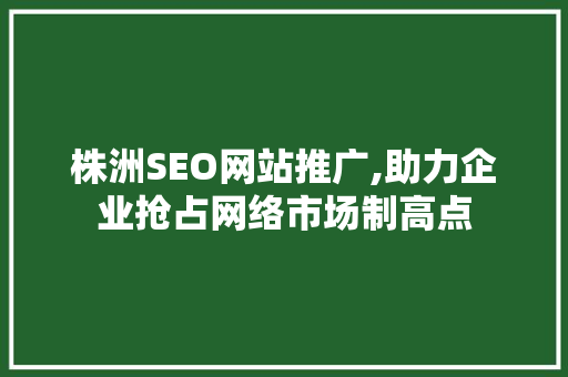 株洲SEO网站推广,助力企业抢占网络市场制高点