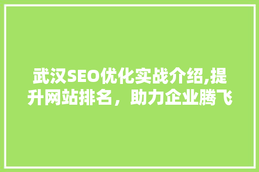 武汉SEO优化实战介绍,提升网站排名，助力企业腾飞
