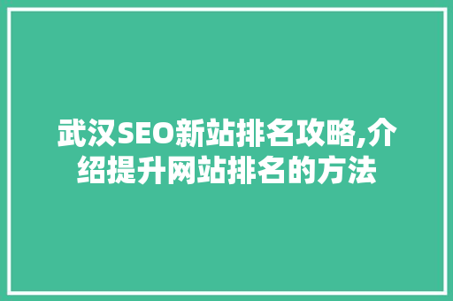 武汉SEO新站排名攻略,介绍提升网站排名的方法