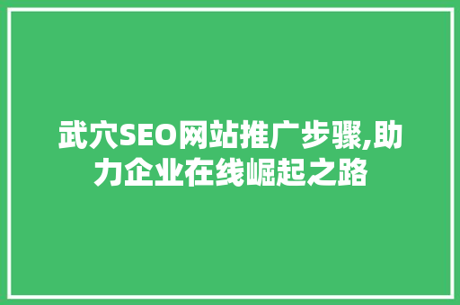 武穴SEO网站推广步骤,助力企业在线崛起之路