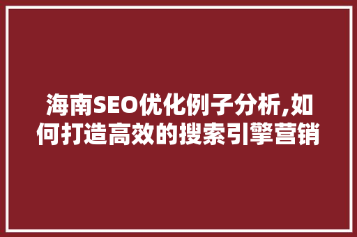 海南SEO优化例子分析,如何打造高效的搜索引擎营销步骤