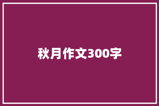 深圳SEO专员待遇探析,薪资水平、职业发展及行业前景