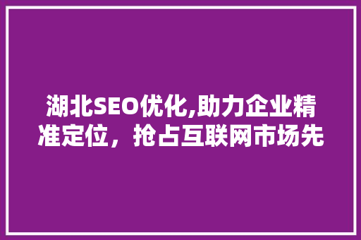 湖北SEO优化,助力企业精准定位，抢占互联网市场先机