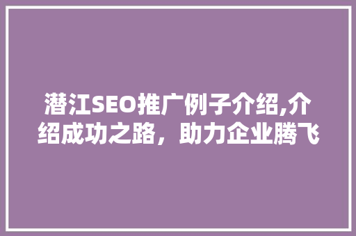 潜江SEO推广例子介绍,介绍成功之路，助力企业腾飞
