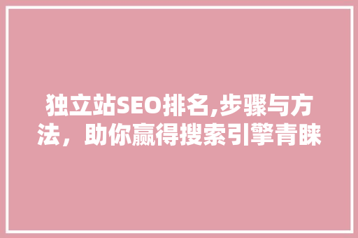 独立站SEO排名,步骤与方法，助你赢得搜索引擎青睐