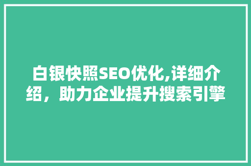 白银快照SEO优化,详细介绍，助力企业提升搜索引擎排名