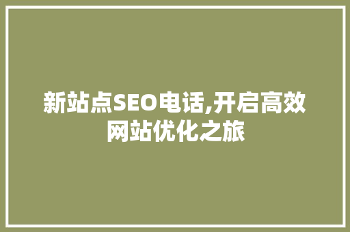 新站点SEO电话,开启高效网站优化之旅