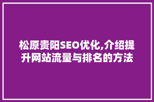 松原贵阳SEO优化,介绍提升网站流量与排名的方法