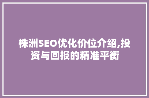 株洲SEO优化价位介绍,投资与回报的精准平衡