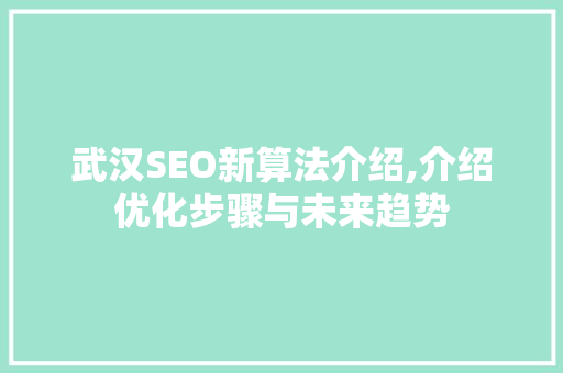 武汉SEO新算法介绍,介绍优化步骤与未来趋势