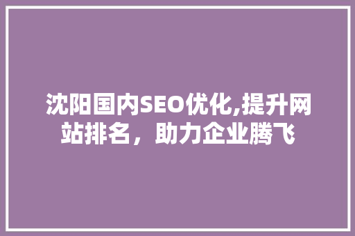 沈阳国内SEO优化,提升网站排名，助力企业腾飞