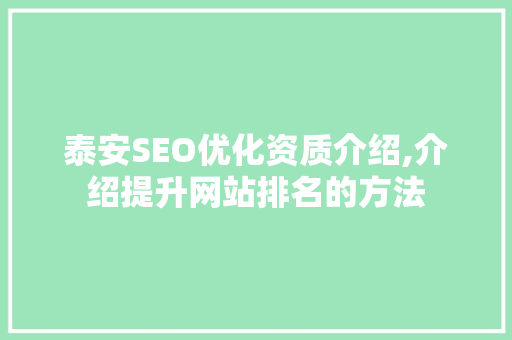 泰安SEO优化资质介绍,介绍提升网站排名的方法