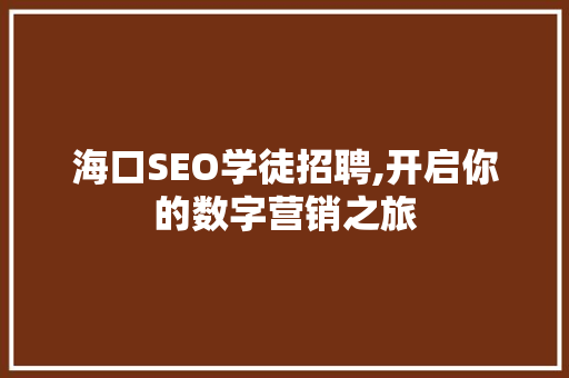 海口SEO学徒招聘,开启你的数字营销之旅