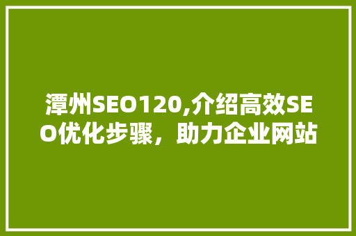潭州SEO120,介绍高效SEO优化步骤，助力企业网站腾飞
