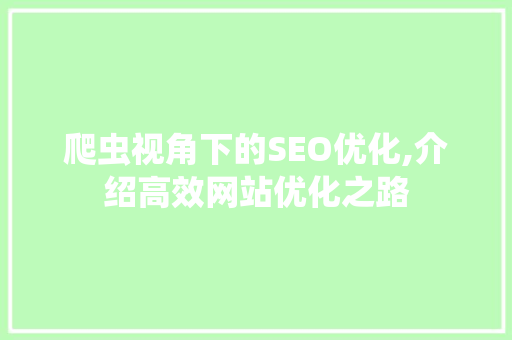 爬虫视角下的SEO优化,介绍高效网站优化之路