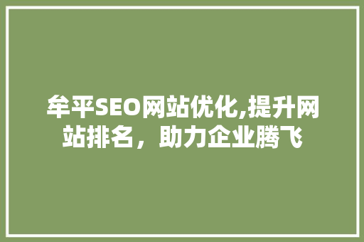 牟平SEO网站优化,提升网站排名，助力企业腾飞