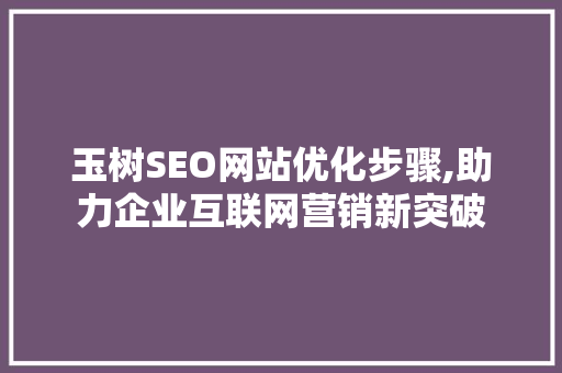 玉树SEO网站优化步骤,助力企业互联网营销新突破