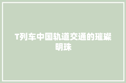 T列车中国轨道交通的璀璨明珠