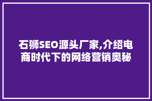 石狮SEO源头厂家,介绍电商时代下的网络营销奥秘