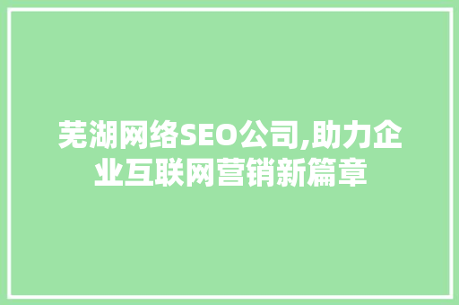 芜湖网络SEO公司,助力企业互联网营销新篇章