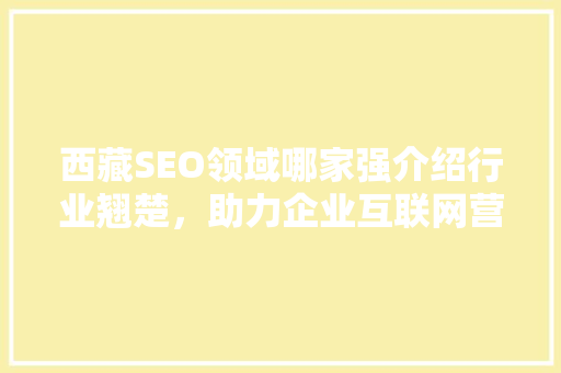西藏SEO领域哪家强介绍行业翘楚，助力企业互联网营销腾飞
