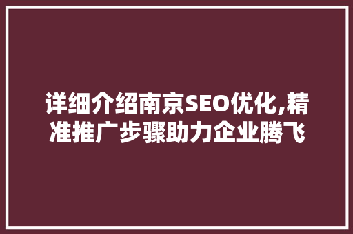 详细介绍南京SEO优化,精准推广步骤助力企业腾飞