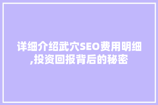 详细介绍武穴SEO费用明细,投资回报背后的秘密