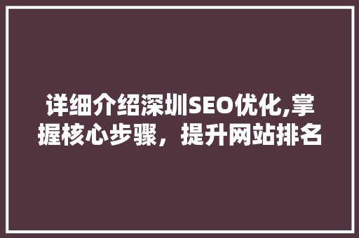 详细介绍深圳SEO优化,掌握核心步骤，提升网站排名