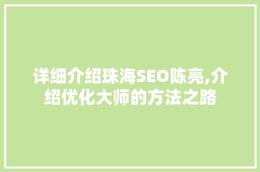 详细介绍珠海SEO陈亮,介绍优化大师的方法之路