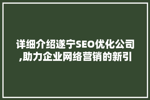 详细介绍遂宁SEO优化公司,助力企业网络营销的新引擎