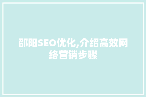 邵阳SEO优化,介绍高效网络营销步骤
