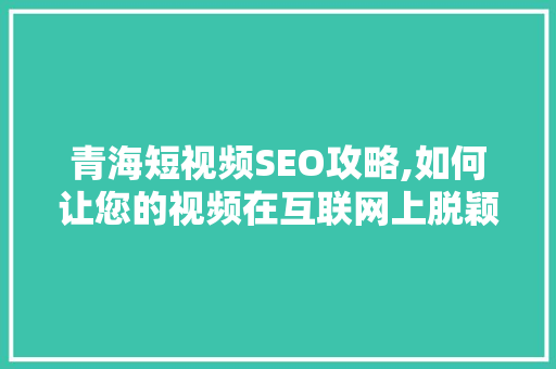 青海短视频SEO攻略,如何让您的视频在互联网上脱颖而出