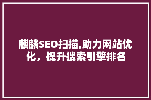 麒麟SEO扫描,助力网站优化，提升搜索引擎排名