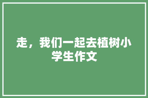 AI剪辑矩阵在SEO领域的应用与创新,助力内容营销的新篇章