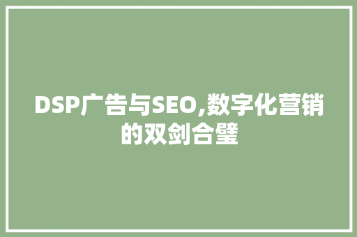 DSP广告与SEO,数字化营销的双剑合璧